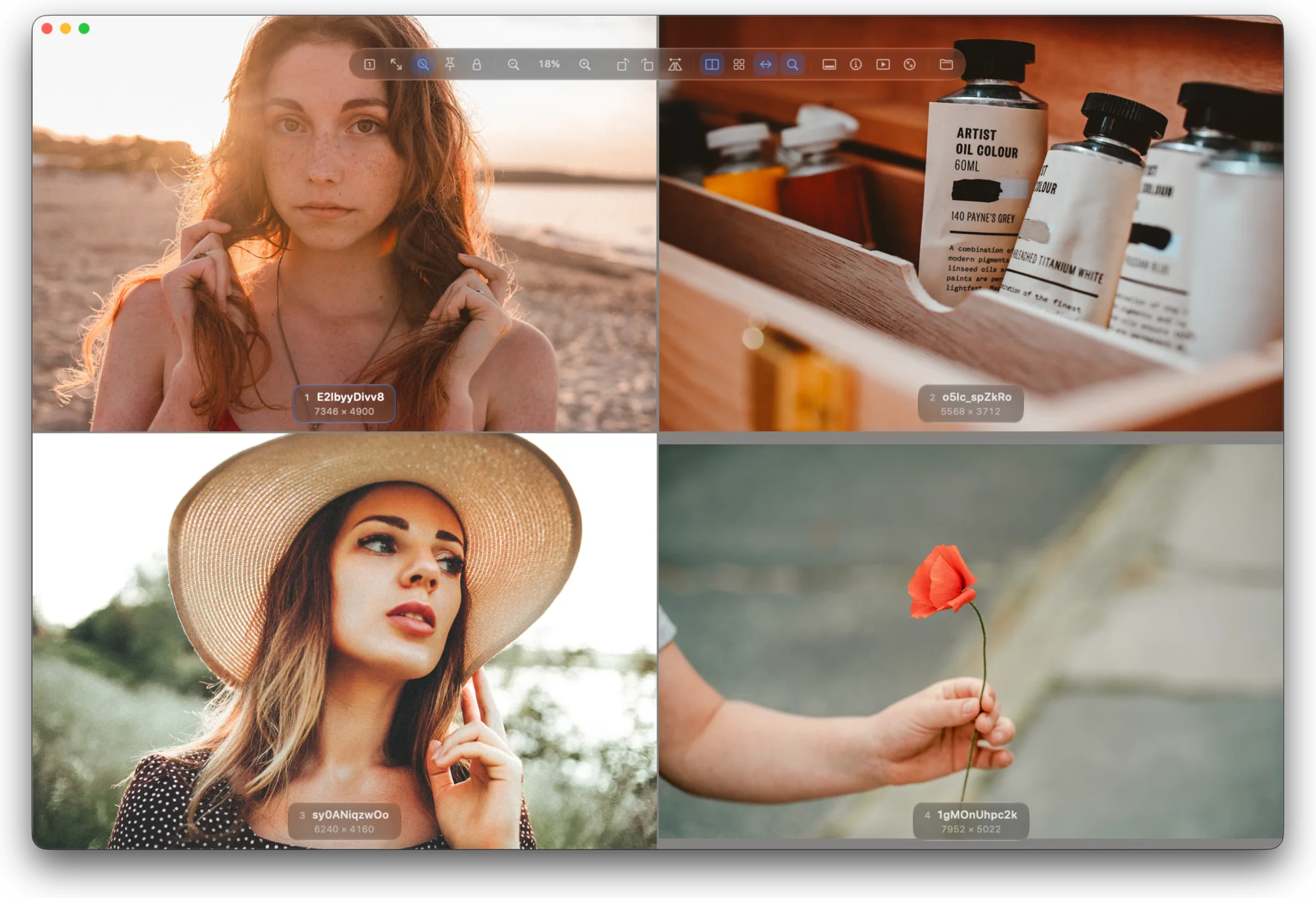 Four photos compared in a grid in Pictty, with pan and zoom kept in sync.