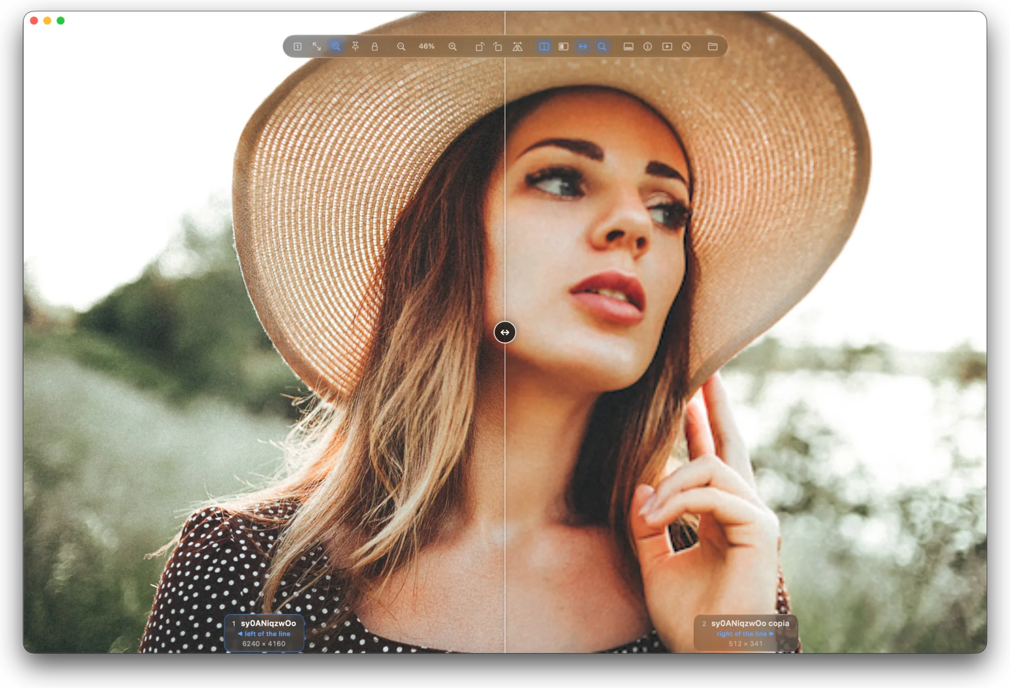 Wipe comparison in Pictty: the 6240-pixel original of a portrait on the left of the line, a 512-pixel copy on the right.